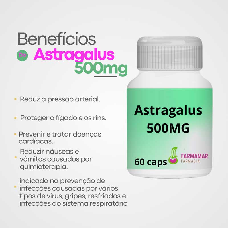 Astragalus 500mg - Imagem 2